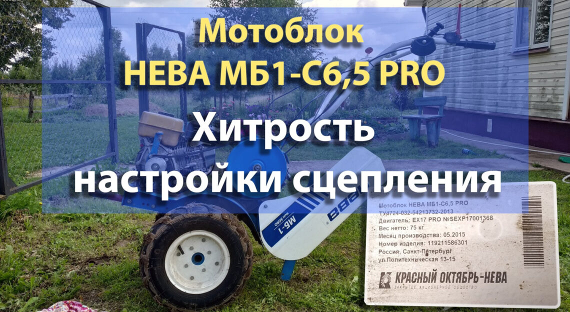 Моторная 9 днс